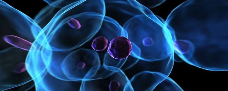 Using stem cell technology for regeneration of damaged tissue