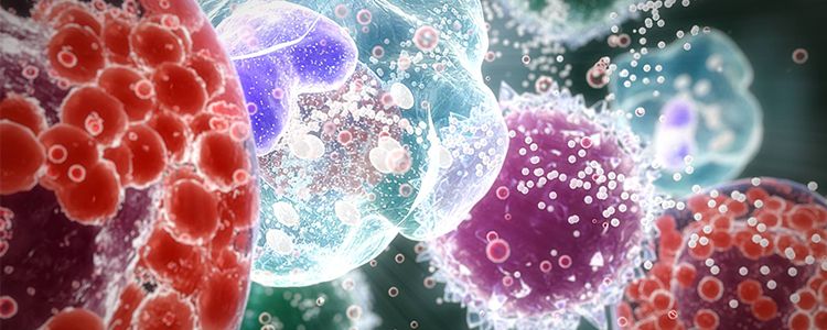 Імунні клітини допоможуть відновитися після інсульту