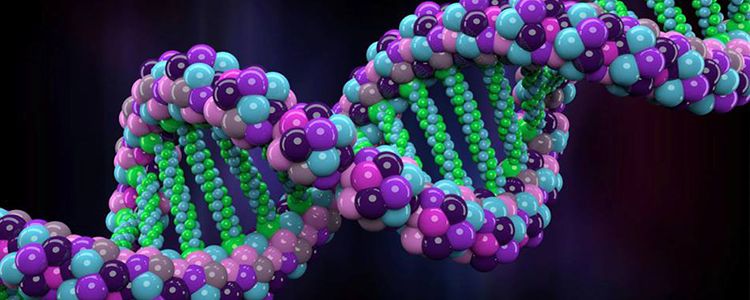 Знайдено ген що стимулює регенерацію тканин