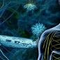 Mutation associated with multiple sclerosis revealed