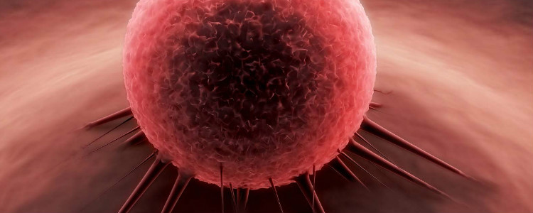 American scientists learned to destroy tumor