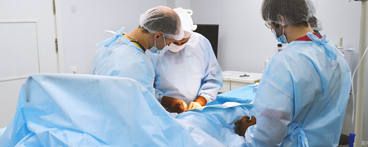 Хірургія та клітинні технології – основа «Біотеху»