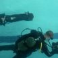 Like underwater rocket! SpecOps divers master handling speedy scooters
